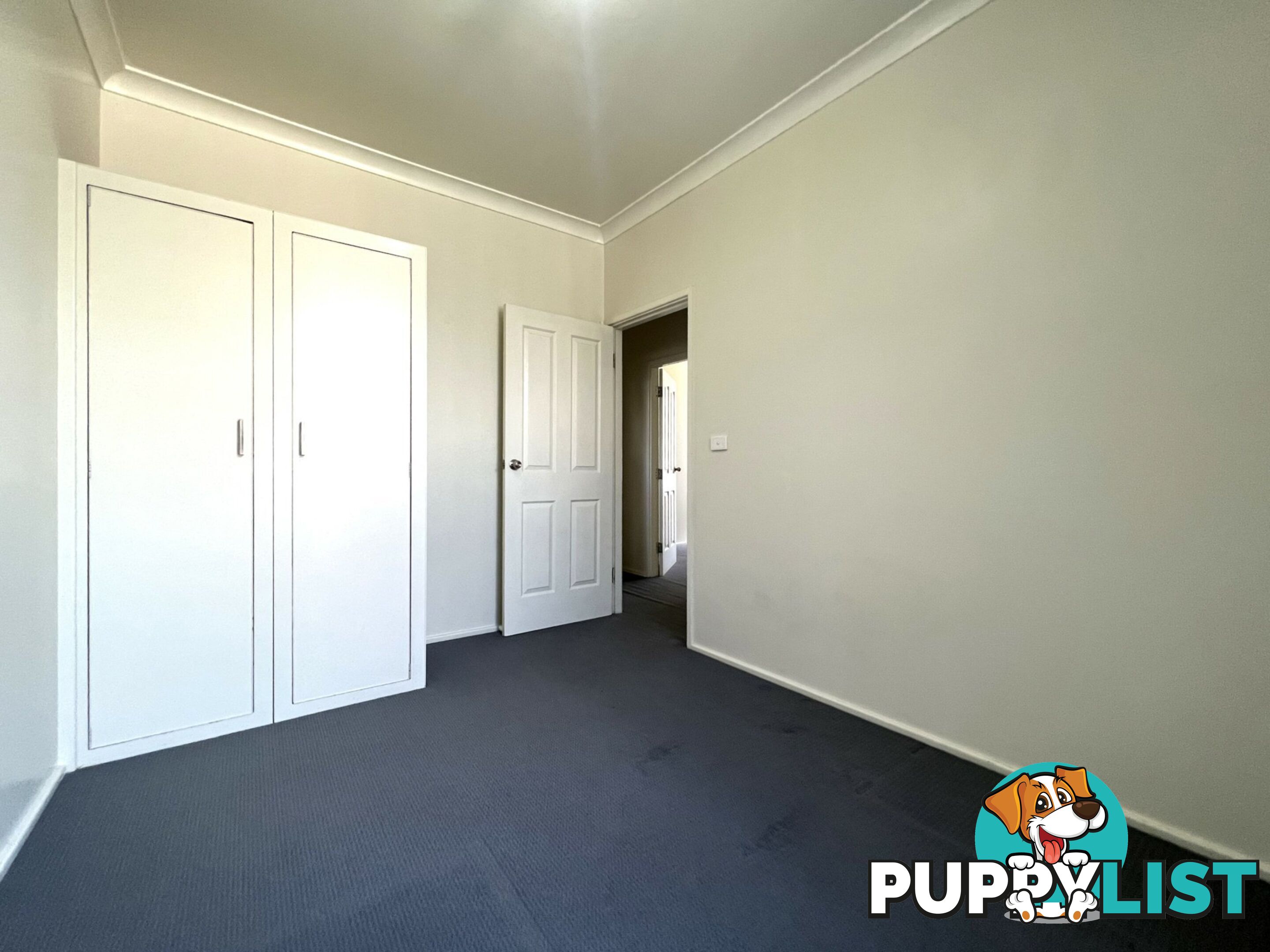 57 Buchan Avenue SINGLETON NSW 2330