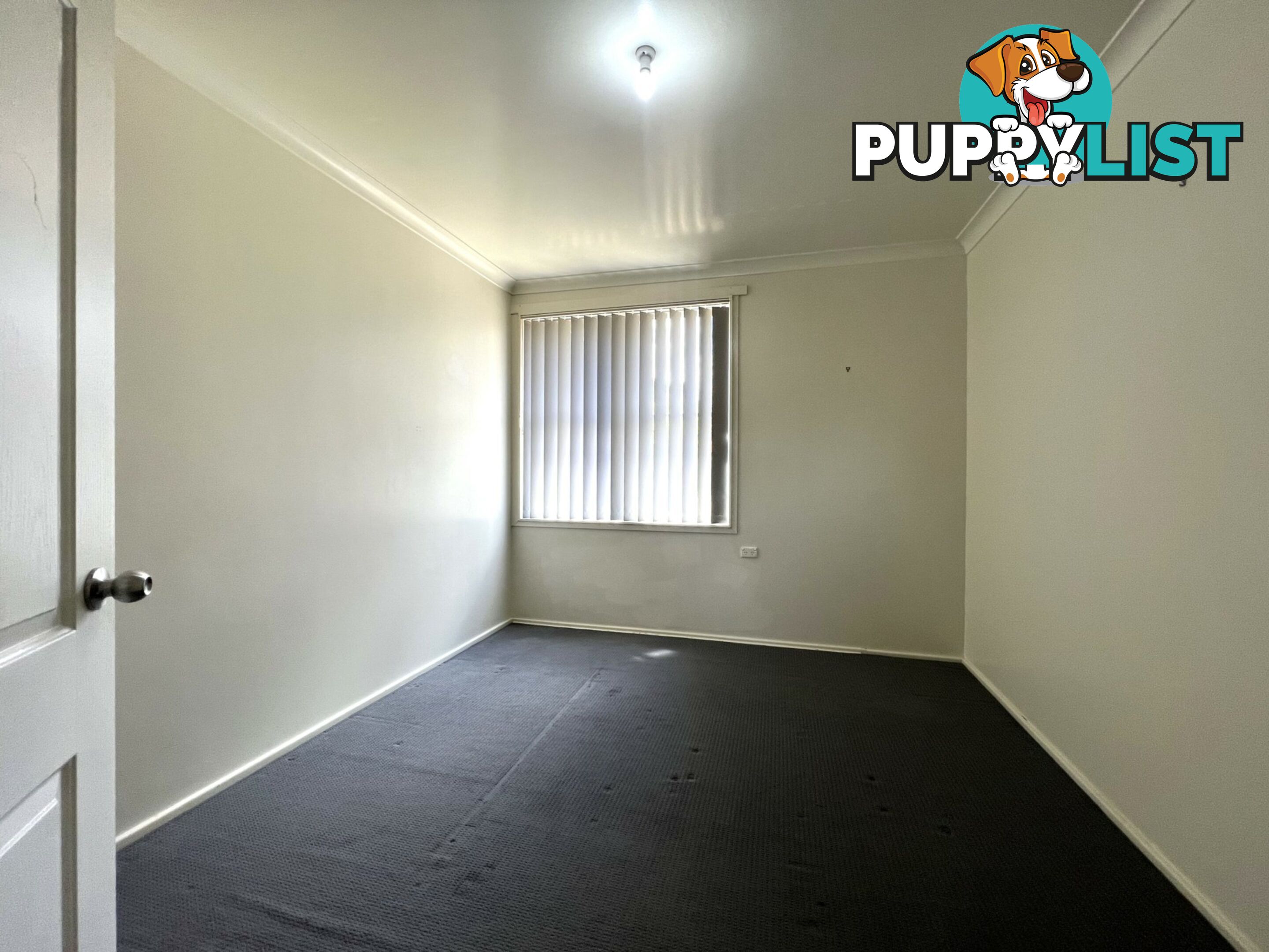 57 Buchan Avenue SINGLETON NSW 2330