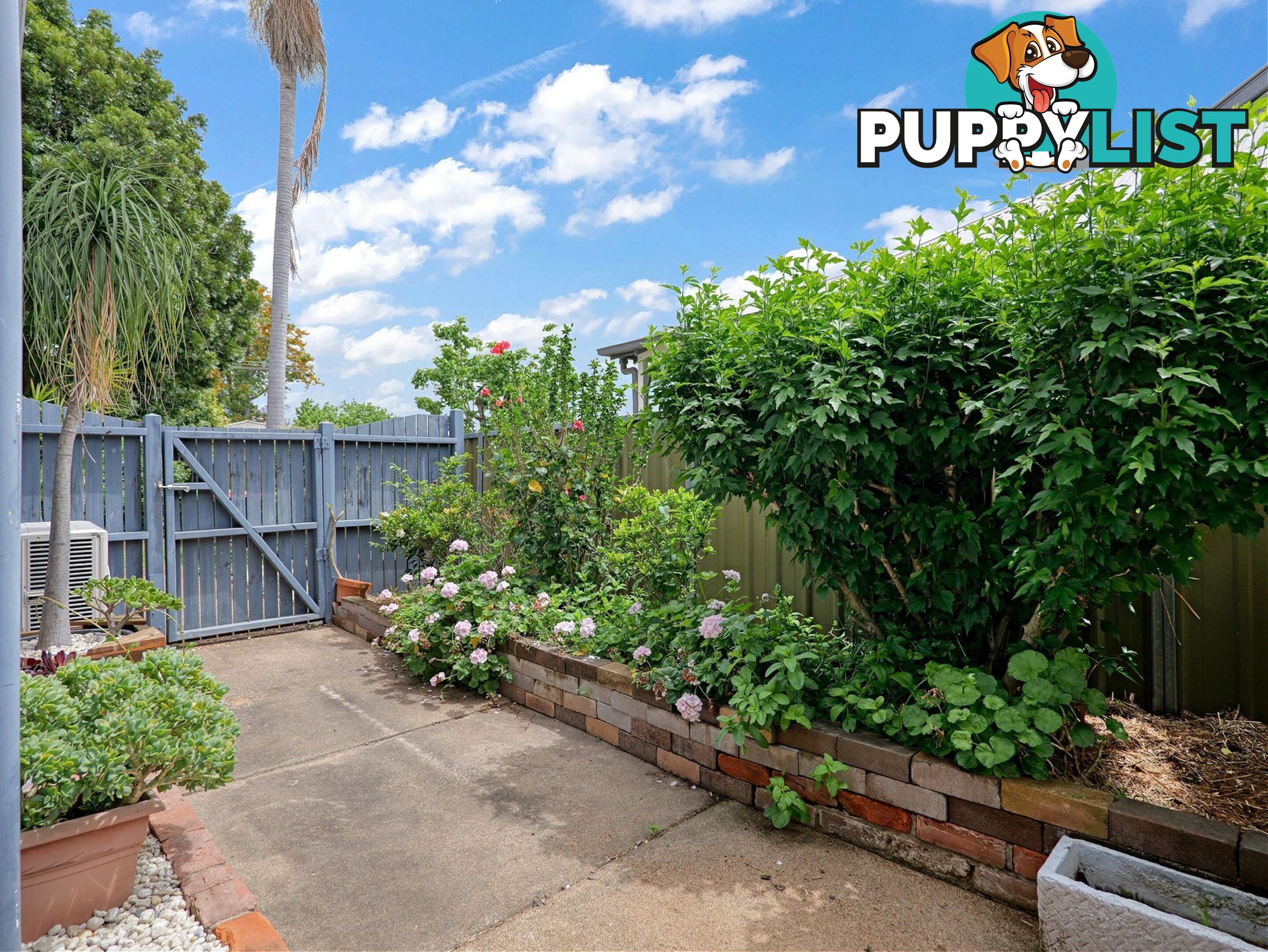 14 Broughton Street SINGLETON NSW 2330