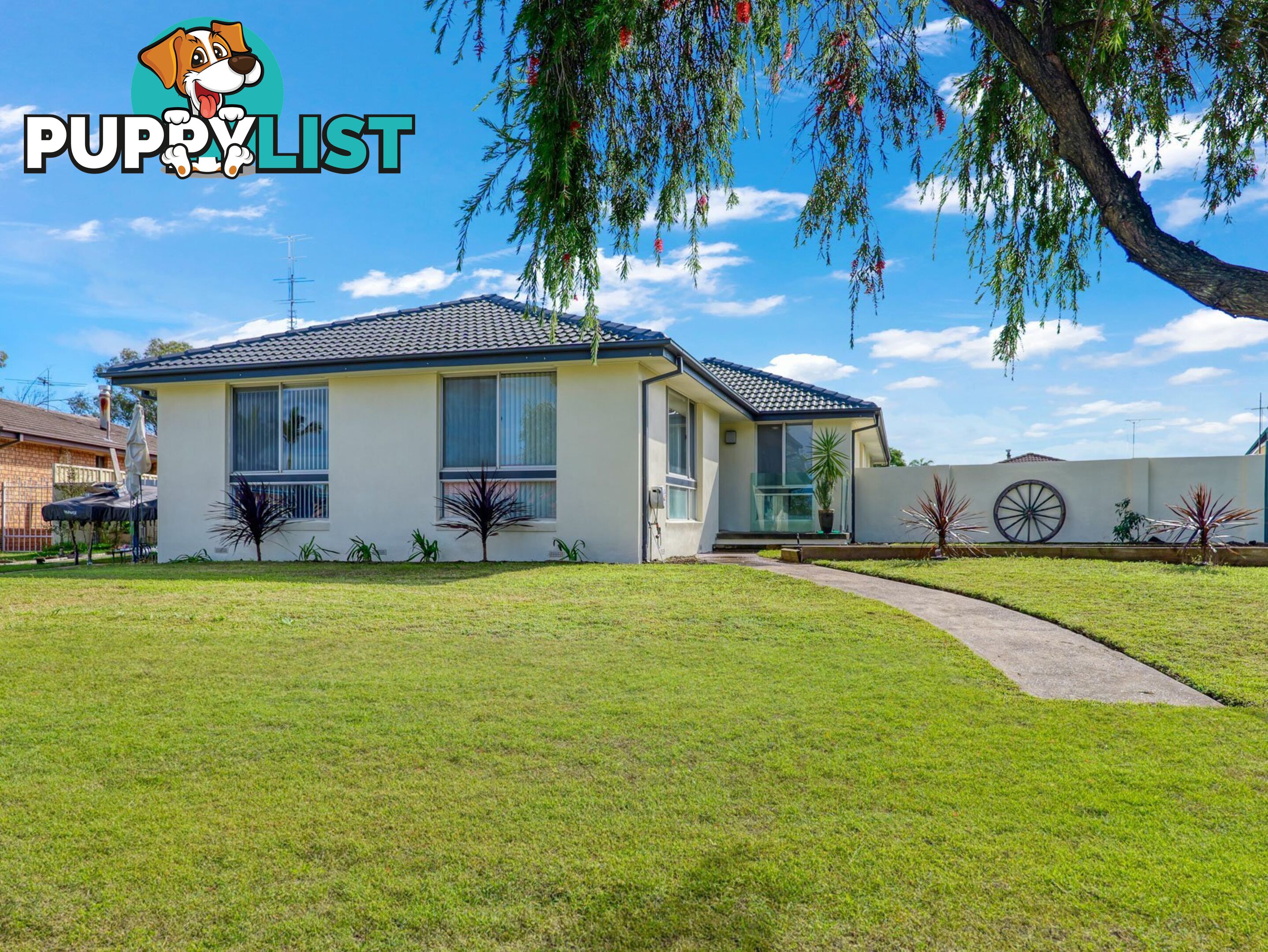 6 Noble Close SINGLETON NSW 2330