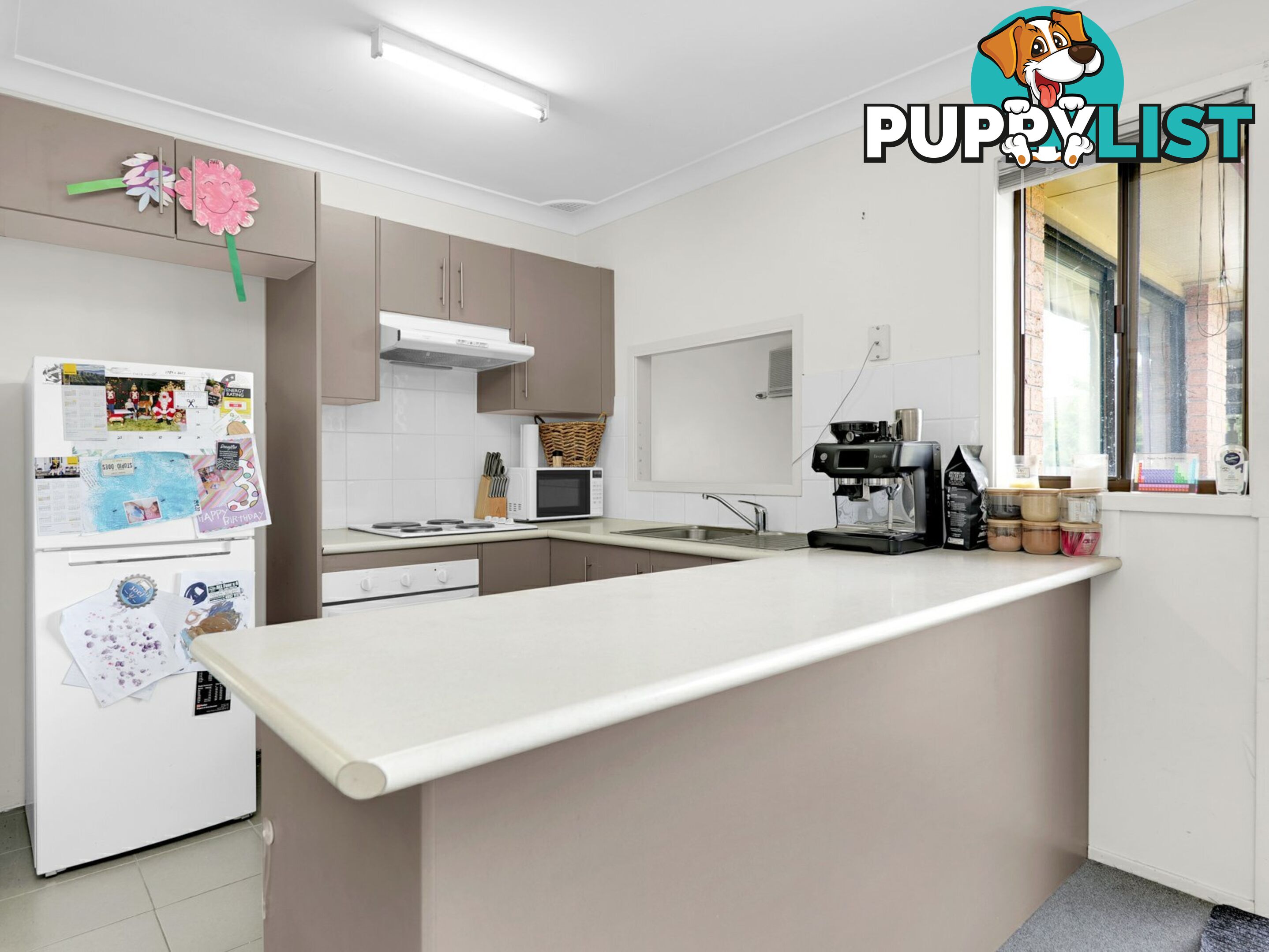 6 Casey Drive SINGLETON NSW 2330