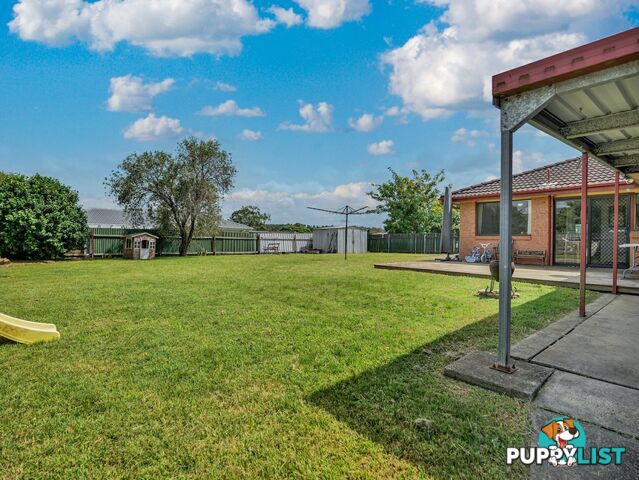 6 Casey Drive SINGLETON NSW 2330