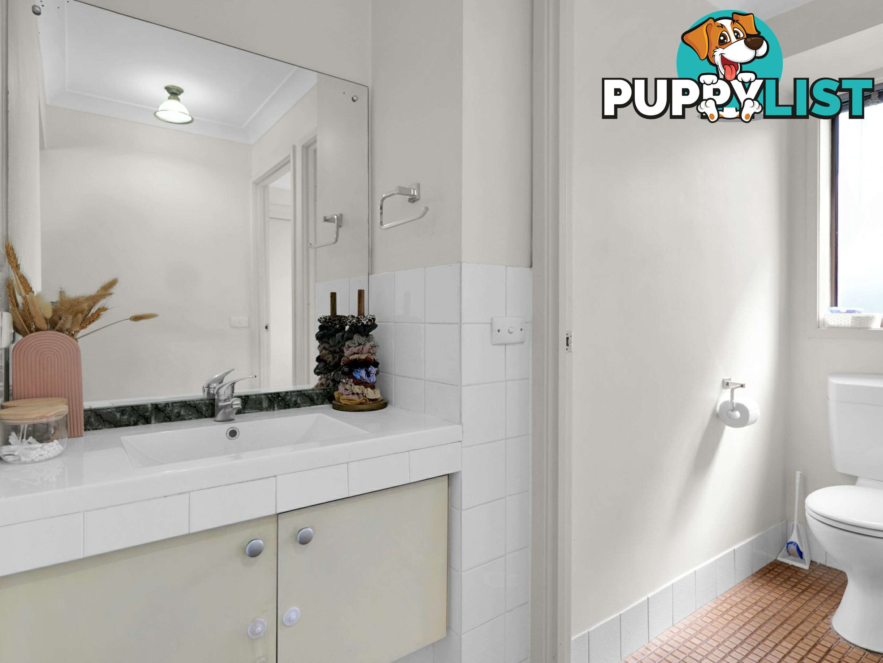 6 Casey Drive SINGLETON NSW 2330