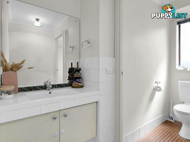 6 Casey Drive SINGLETON NSW 2330