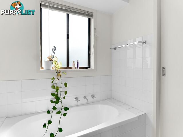 6 Casey Drive SINGLETON NSW 2330