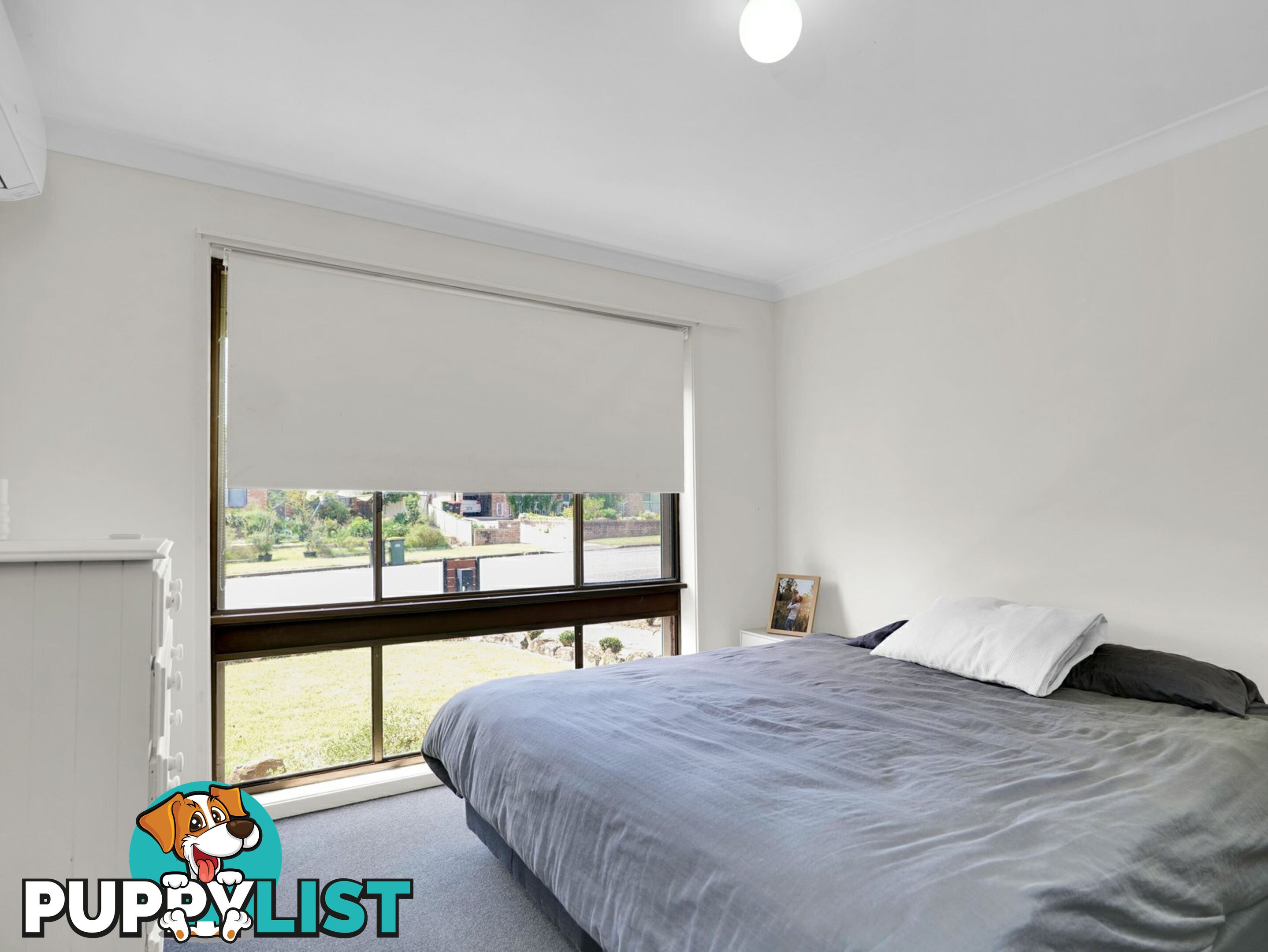 6 Casey Drive SINGLETON NSW 2330
