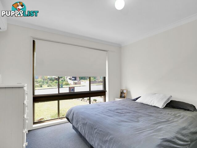 6 Casey Drive SINGLETON NSW 2330