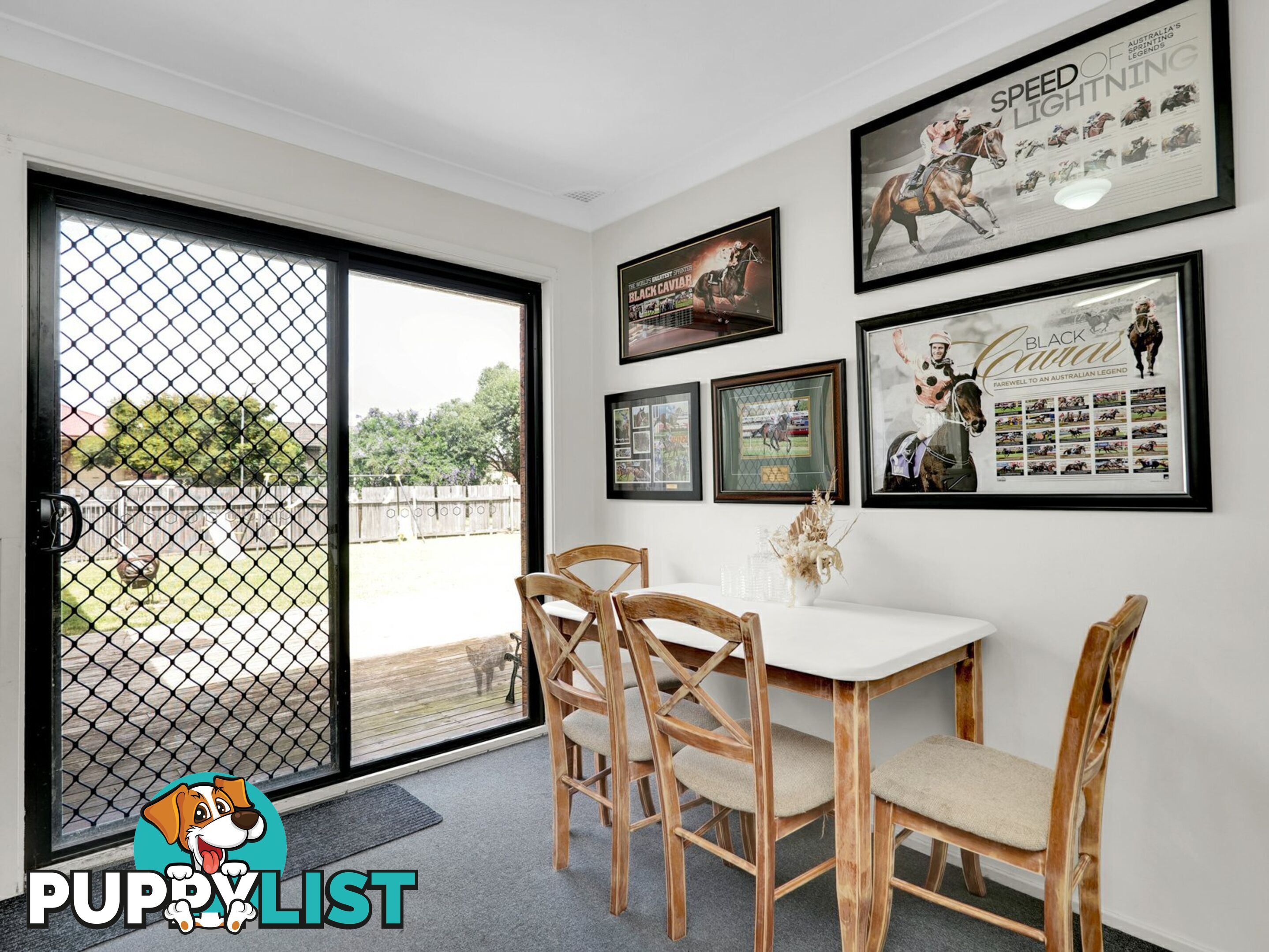 6 Casey Drive SINGLETON NSW 2330