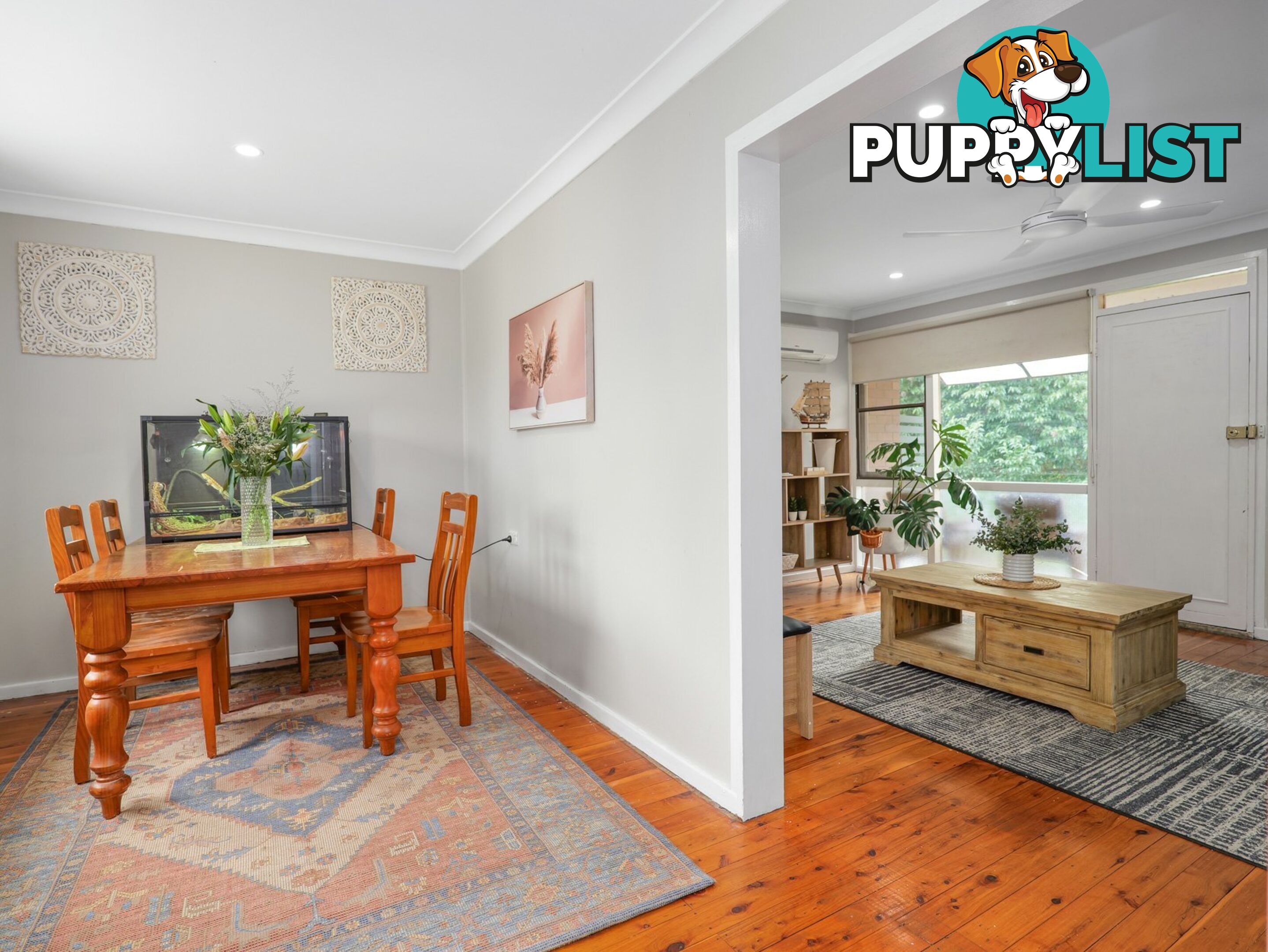 15 Patrick Street SINGLETON NSW 2330