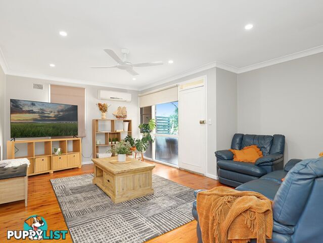 15 Patrick Street SINGLETON NSW 2330