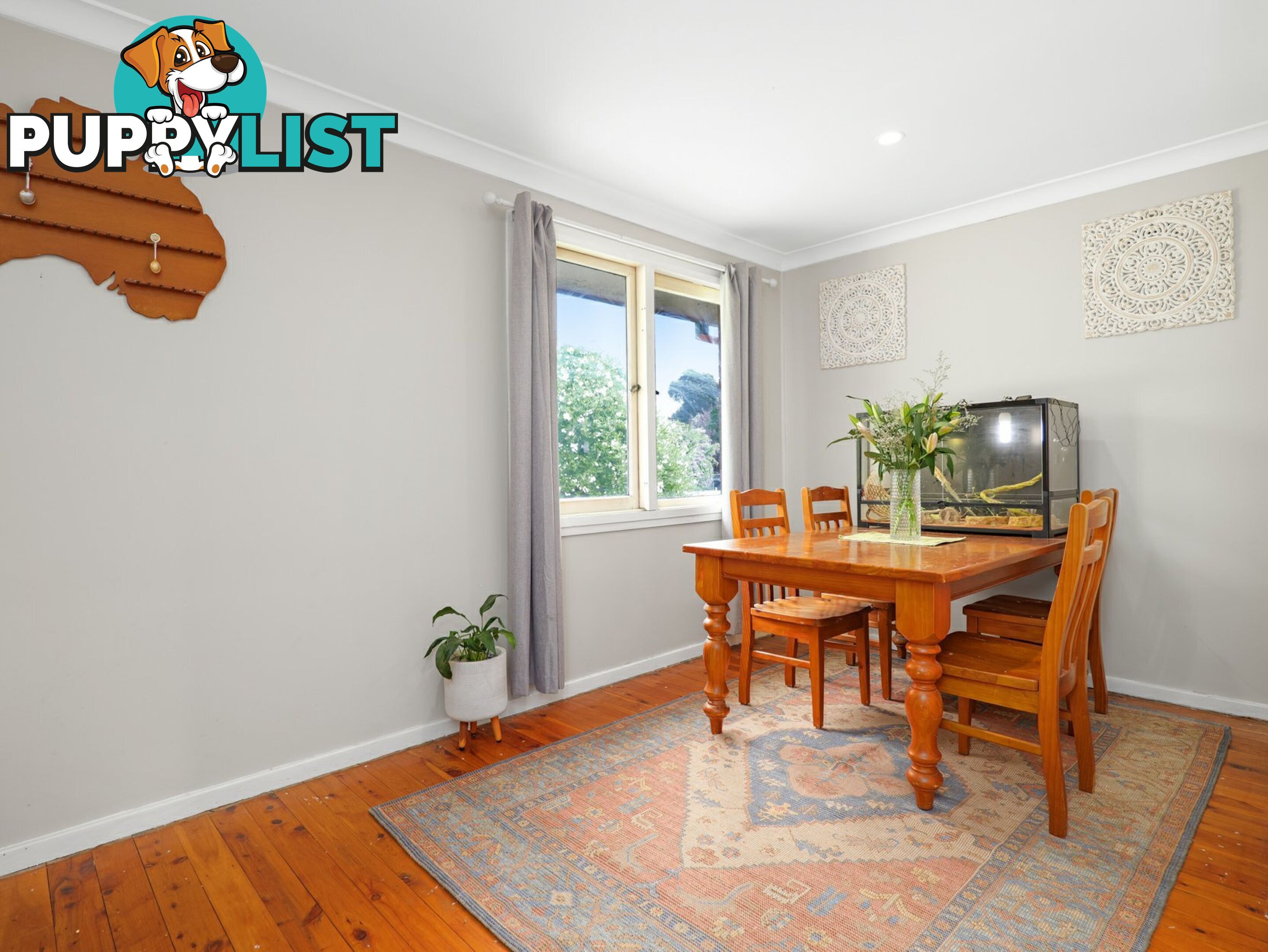 15 Patrick Street SINGLETON NSW 2330