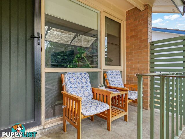 15 Patrick Street SINGLETON NSW 2330