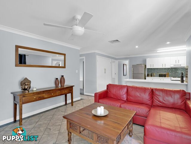 2 Beh Close SINGLETON NSW 2330