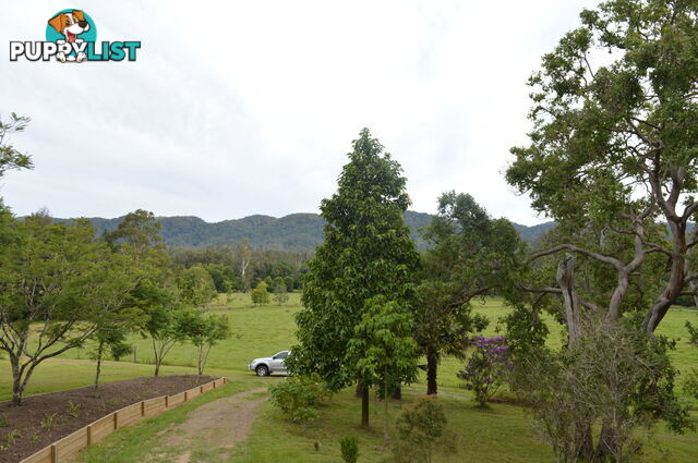 CONONDALE QLD 4552