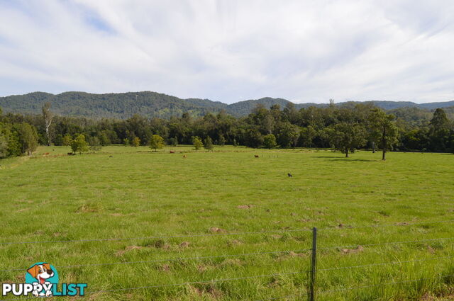 CONONDALE QLD 4552