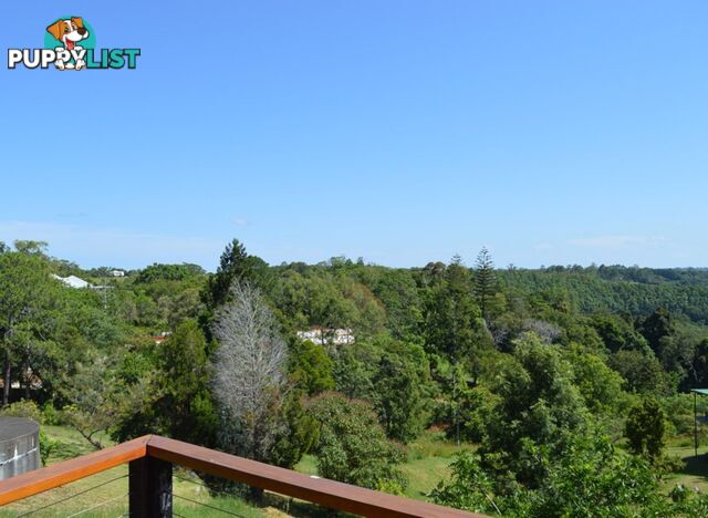 LOT 4 Balmoral Road MONTVILLE QLD 4560