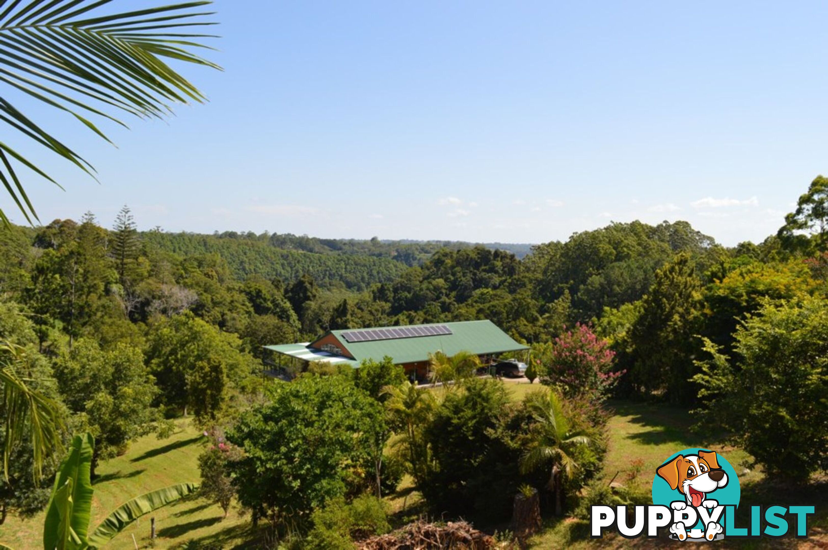 LOT 4 Balmoral Road MONTVILLE QLD 4560