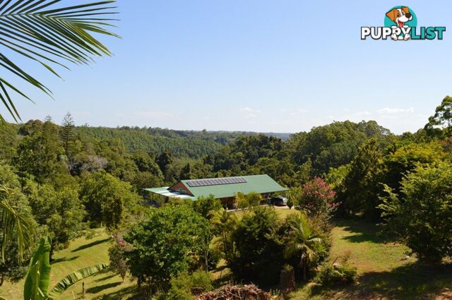 LOT 4 Balmoral Road MONTVILLE QLD 4560