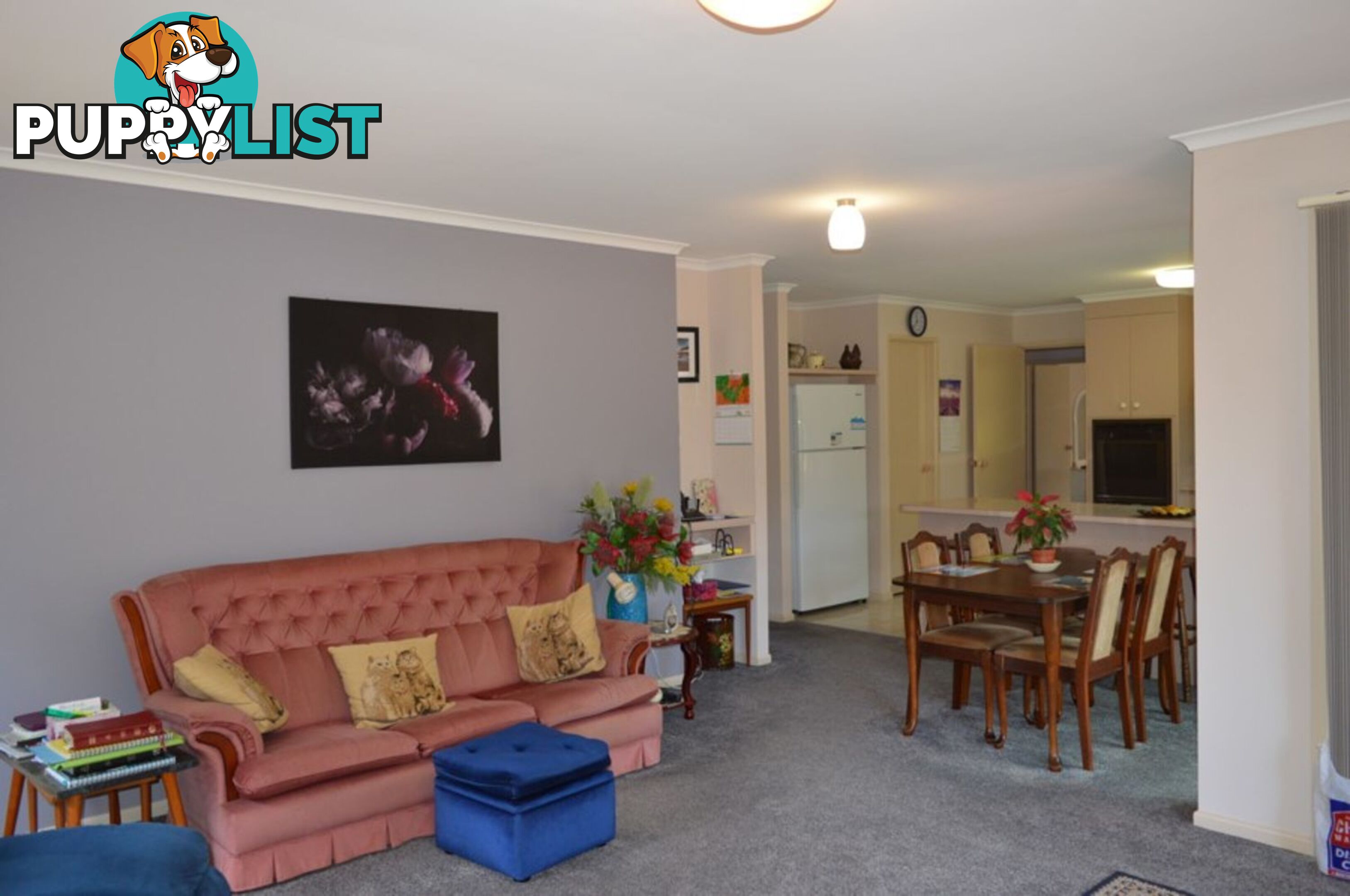 2-4 Glover Court MONTVILLE QLD 4560