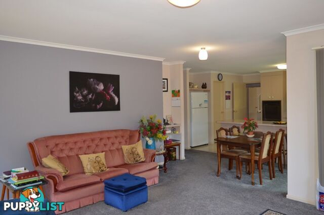 2-4 Glover Court MONTVILLE QLD 4560