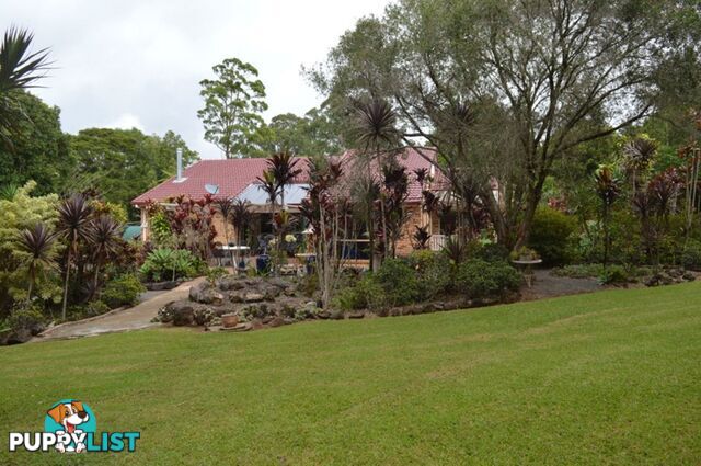 2-4 Glover Court MONTVILLE QLD 4560