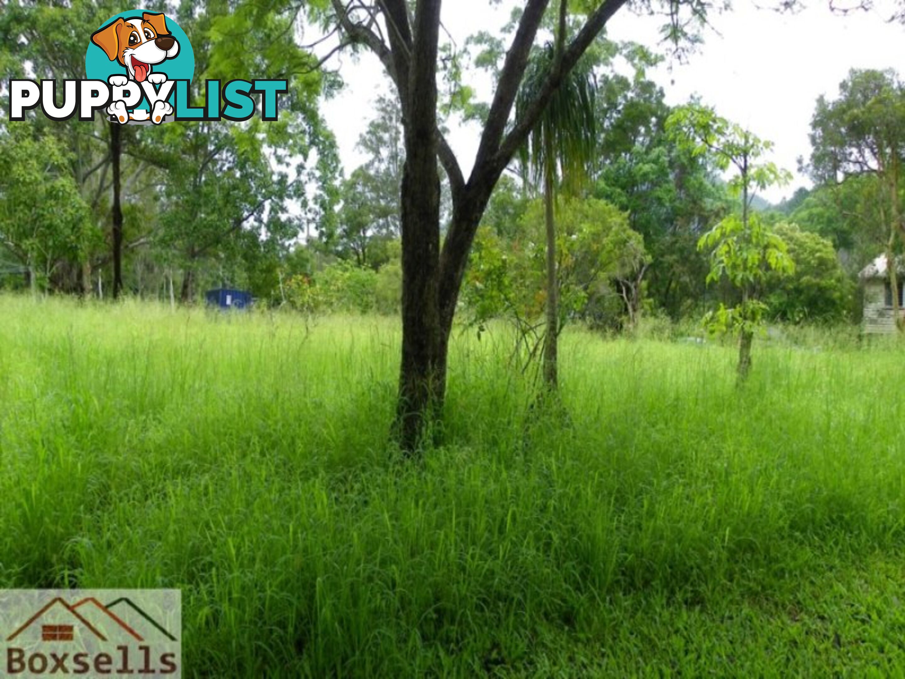 1697 Maleny-Kenilworth Road CONONDALE QLD 4552