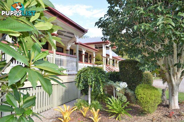 20 Byrne Lane MALENY QLD 4552
