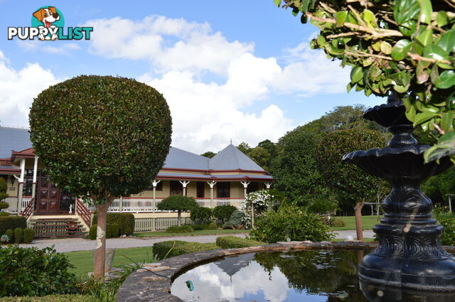 20 Byrne Lane MALENY QLD 4552