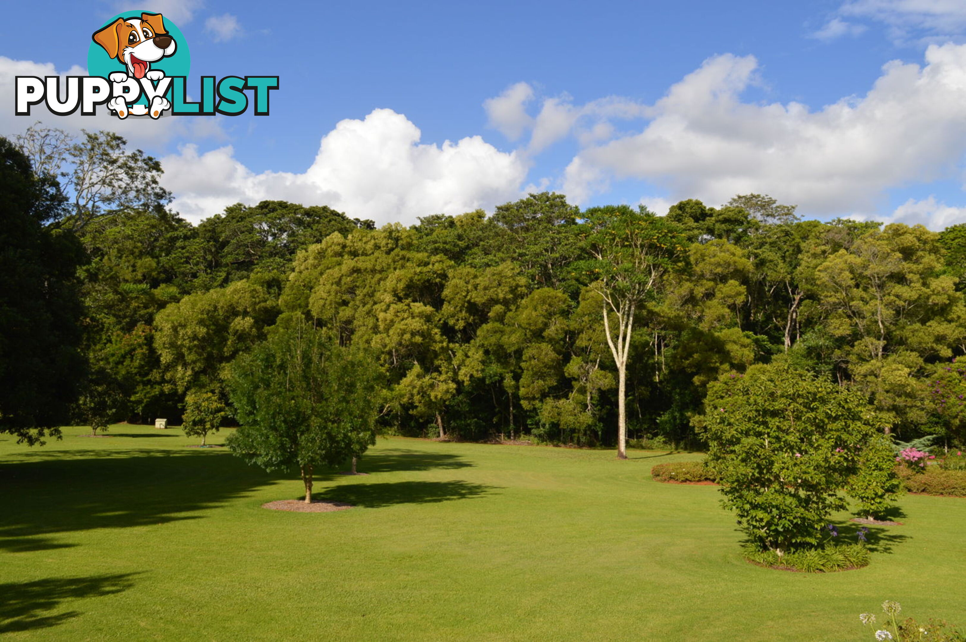 20 Byrne Lane MALENY QLD 4552