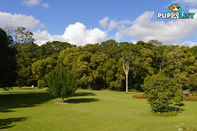 20 Byrne Lane MALENY QLD 4552