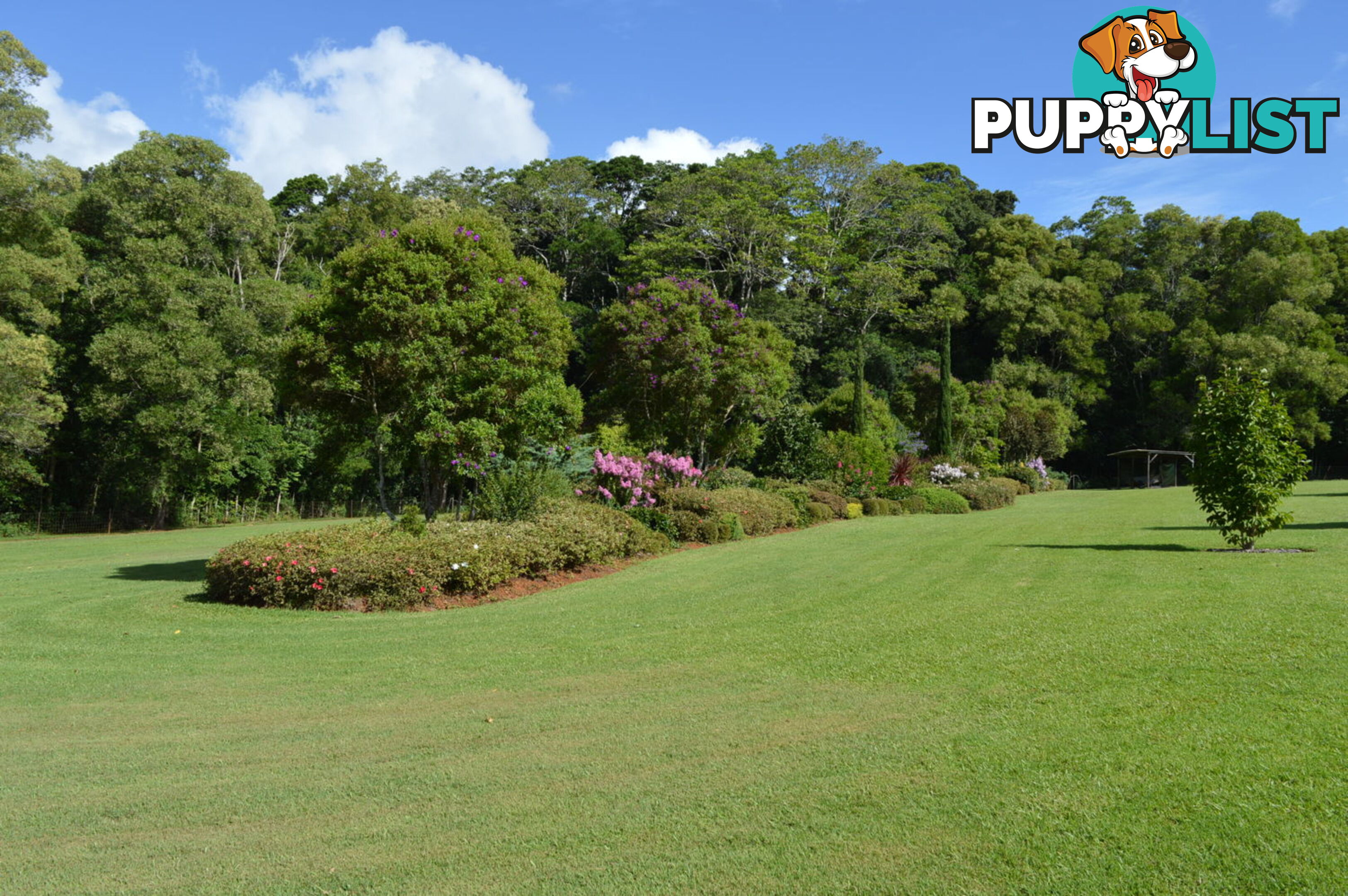 20 Byrne Lane MALENY QLD 4552