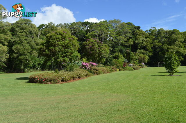 20 Byrne Lane MALENY QLD 4552