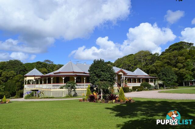 20 Byrne Lane MALENY QLD 4552