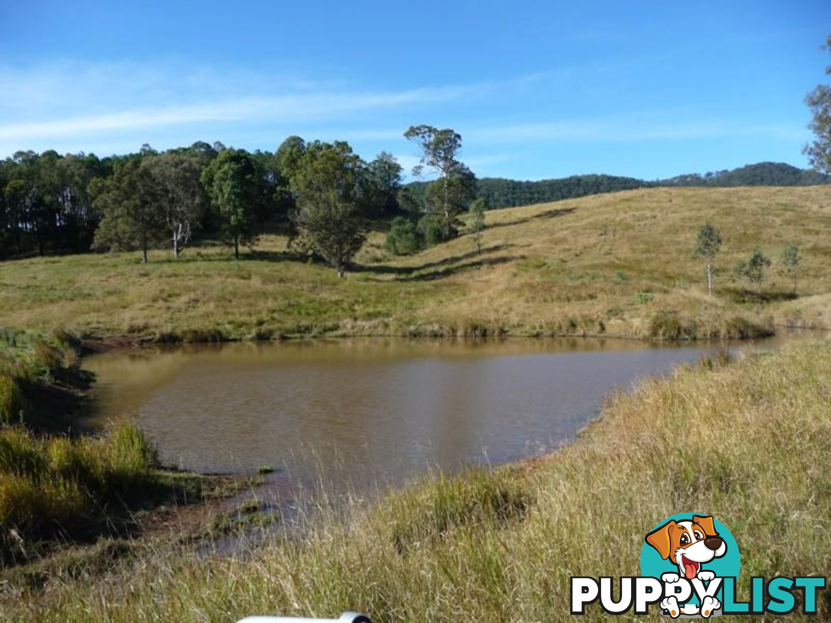 Lot 1 Yingani Road BROOLOO QLD 4570