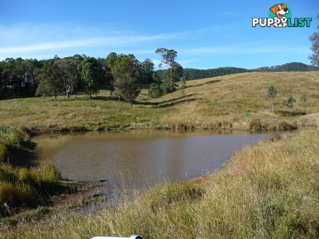 Lot 1 Yingani Road BROOLOO QLD 4570