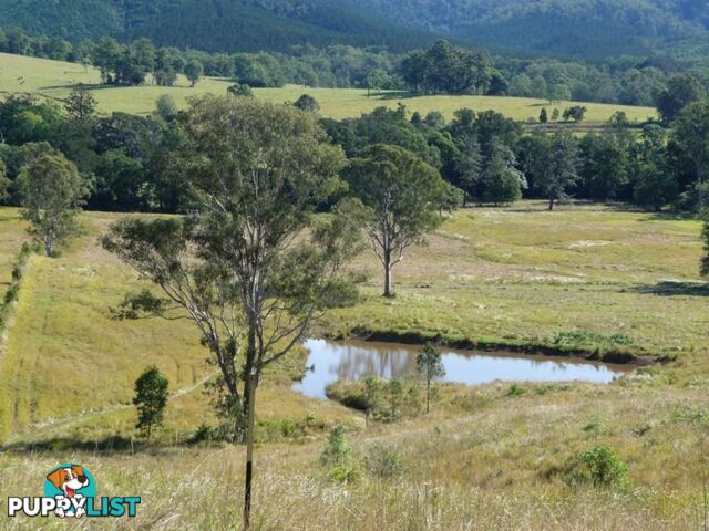 Lot 1 Yingani Road BROOLOO QLD 4570