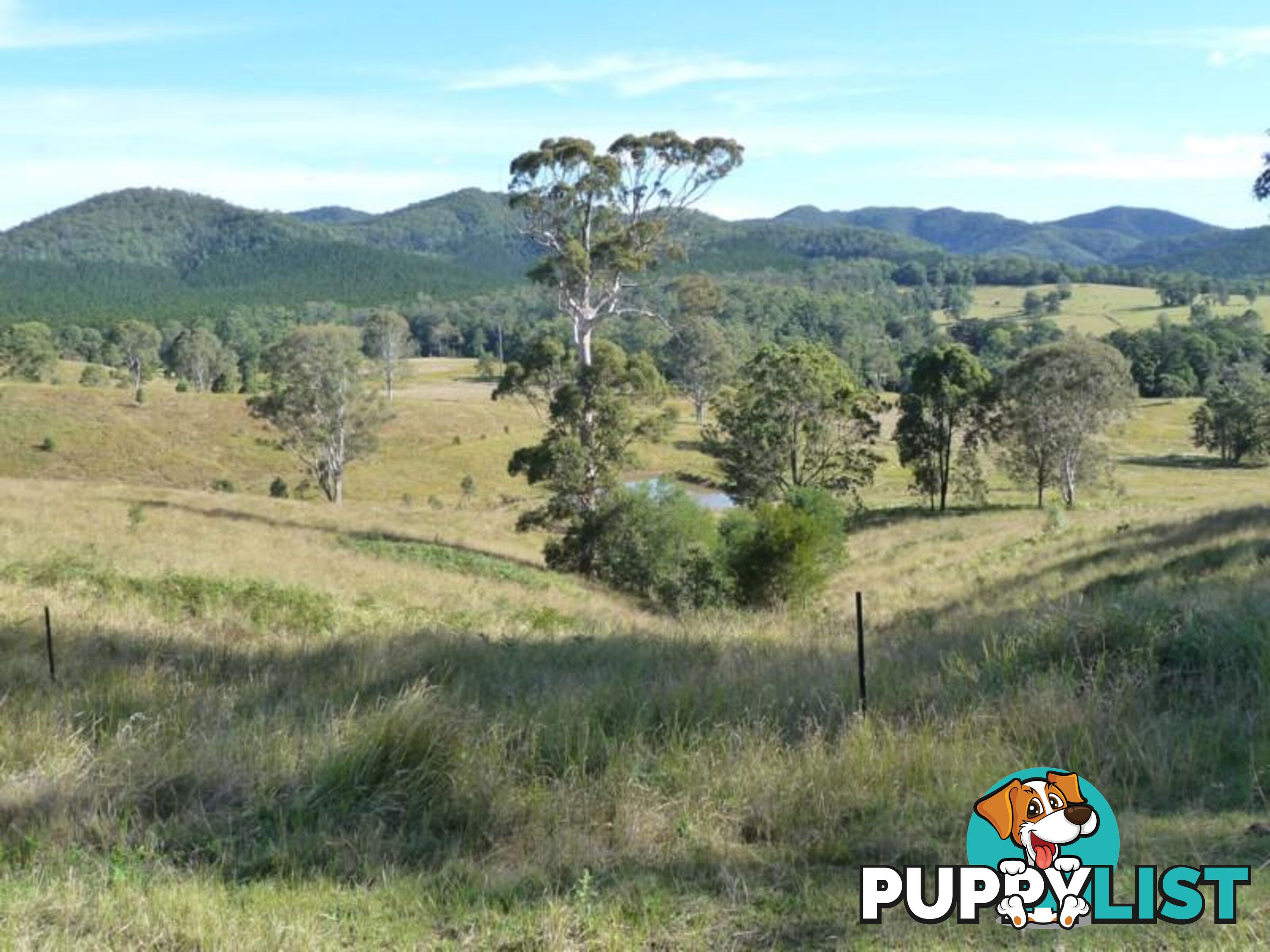 Lot 1 Yingani Road BROOLOO QLD 4570