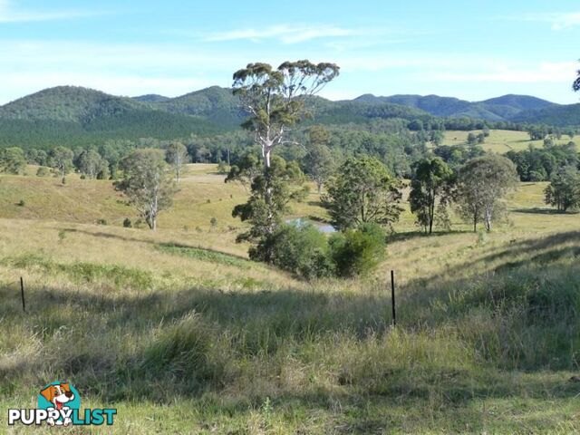 Lot 1 Yingani Road BROOLOO QLD 4570