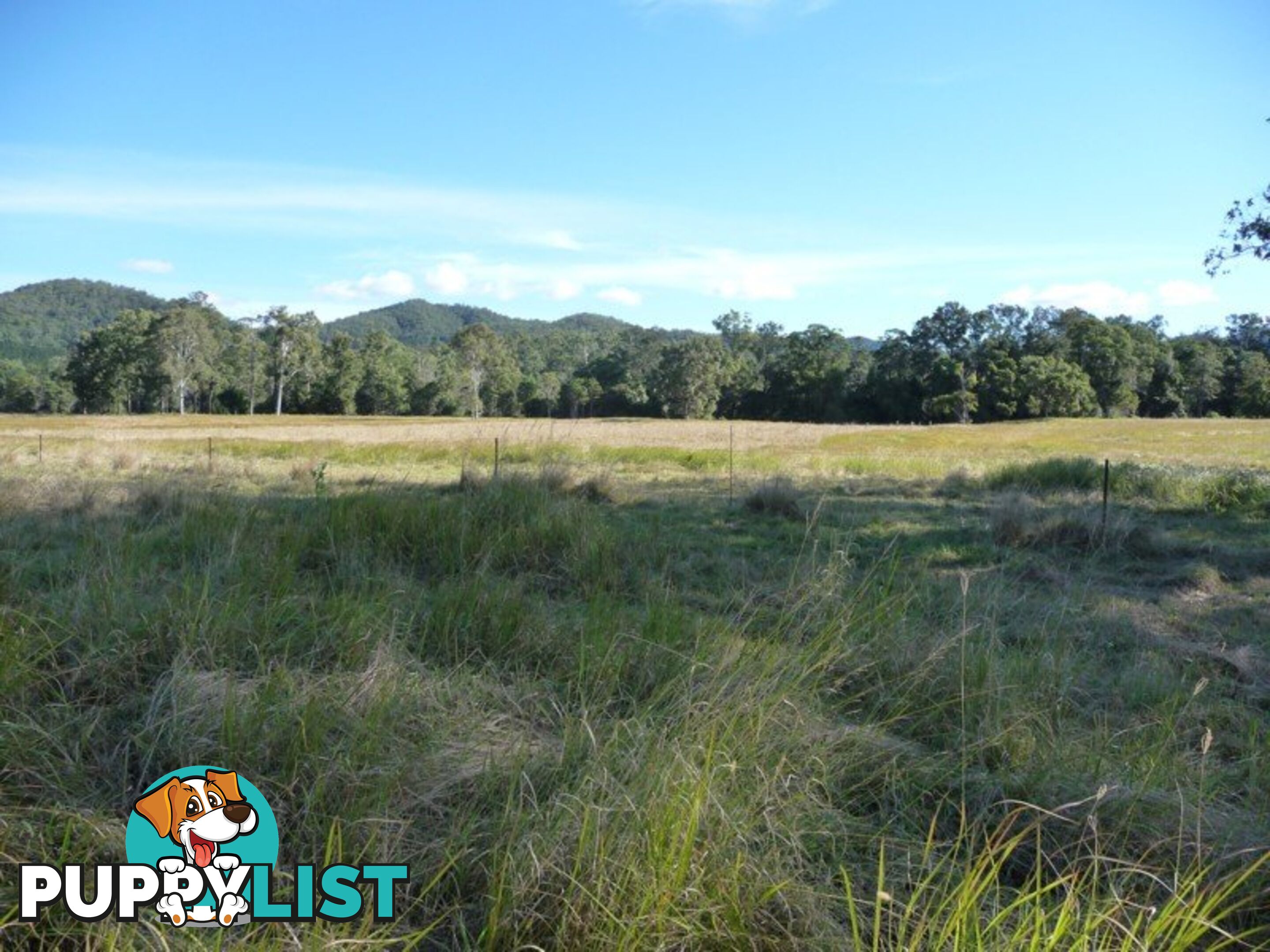 Lot 1 Yingani Road BROOLOO QLD 4570