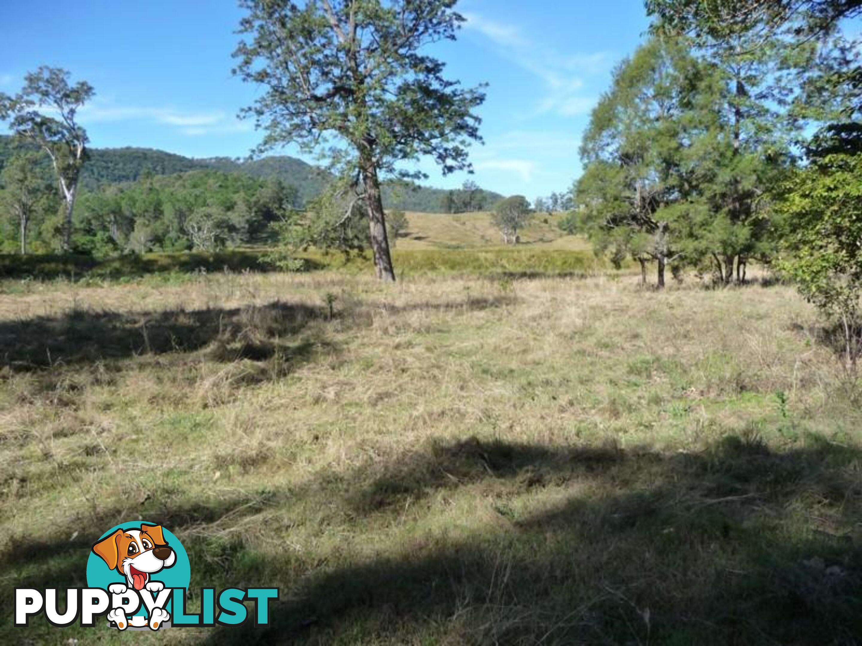 Lot 1 Yingani Road BROOLOO QLD 4570