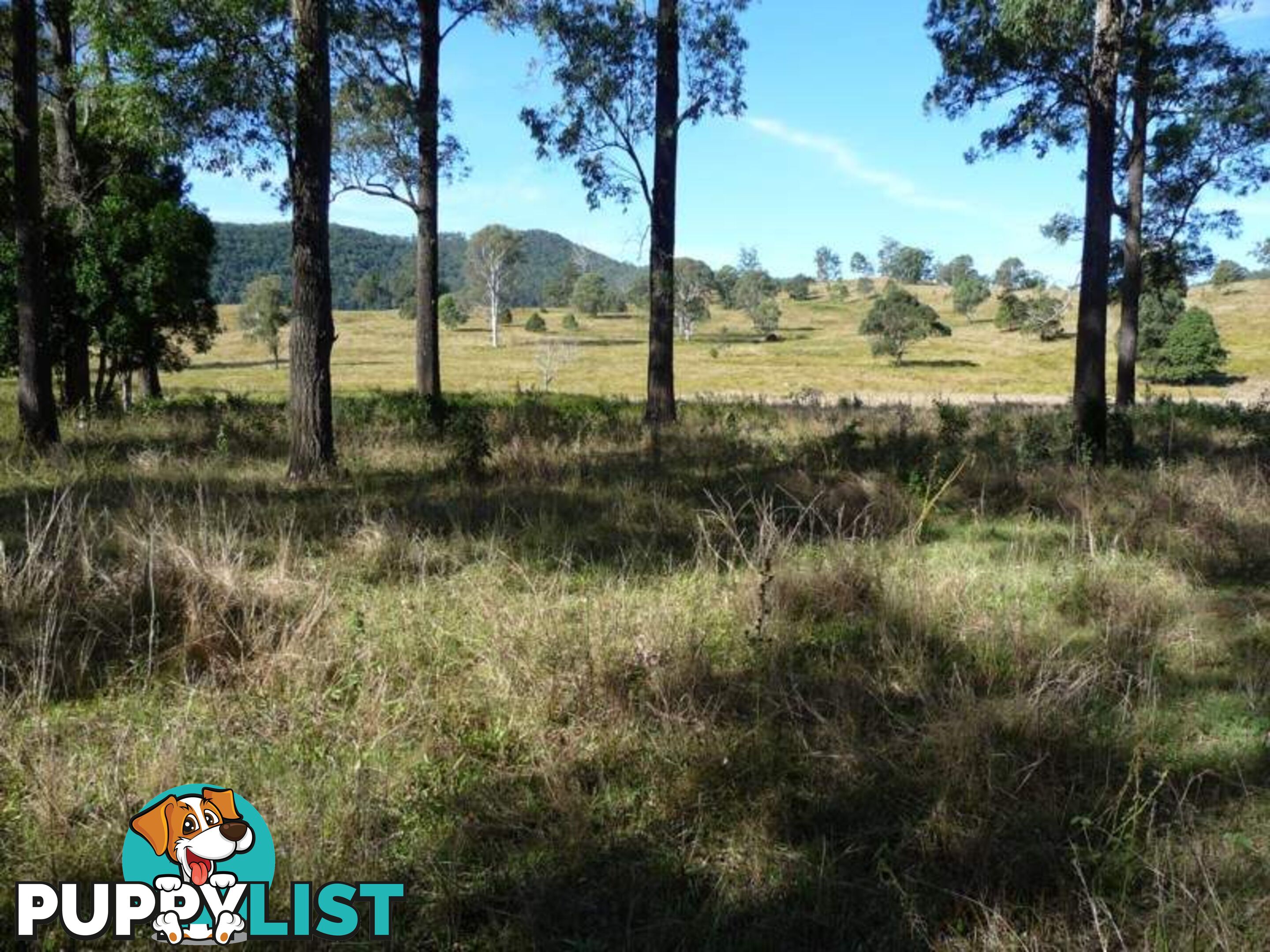 Lot 1 Yingani Road BROOLOO QLD 4570