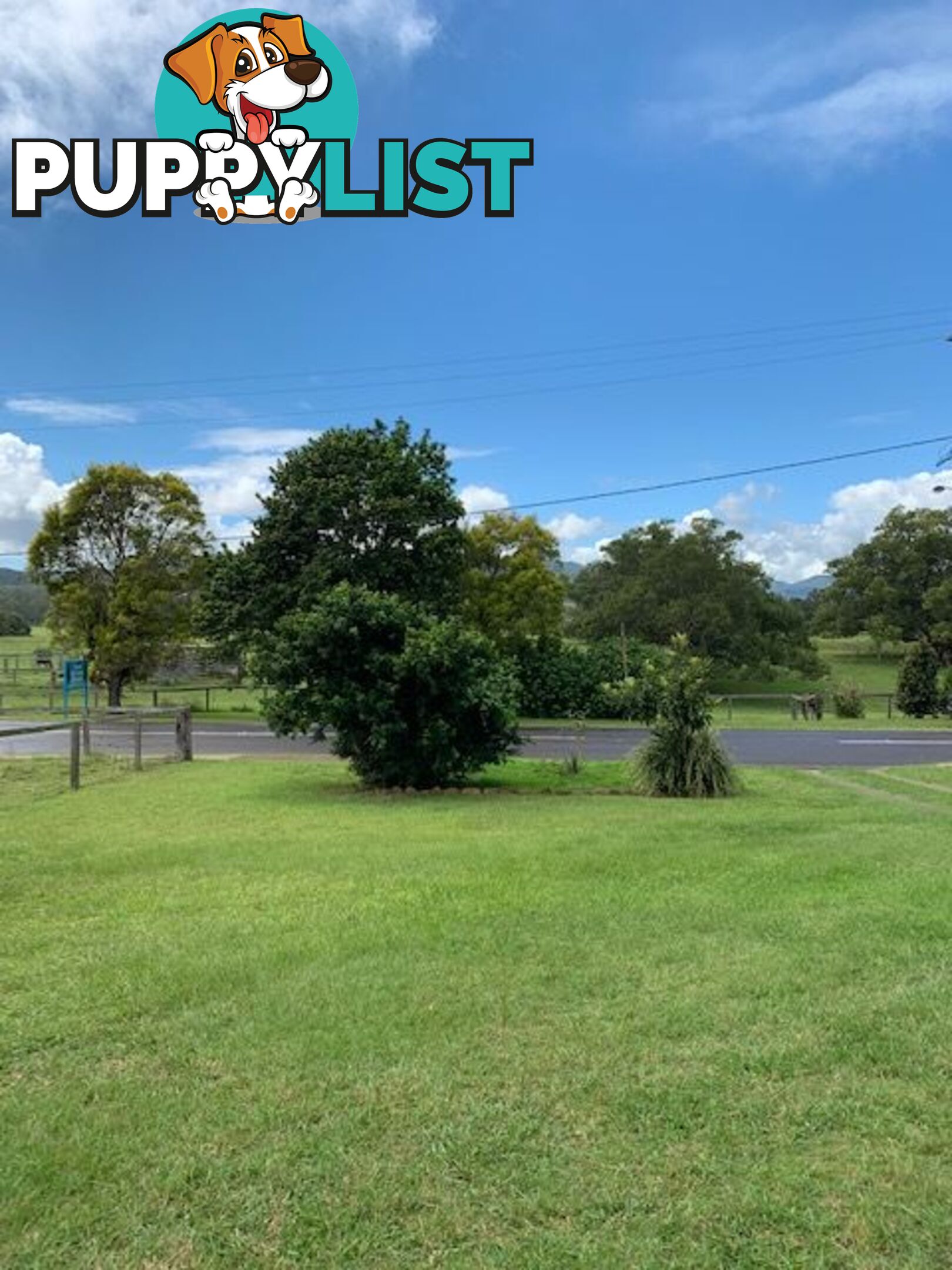 61 Elizabeth KENILWORTH QLD 4574