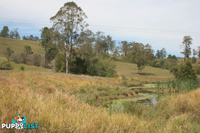 4396 Mary Valley Road BROOLOO QLD 4570