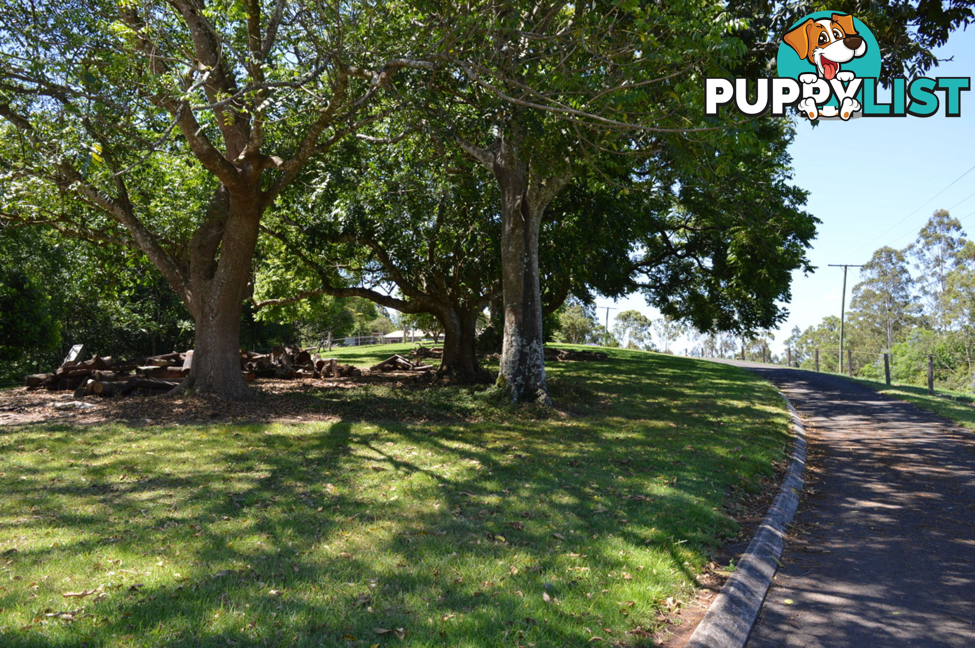 115 Burgum road MALENY QLD 4552