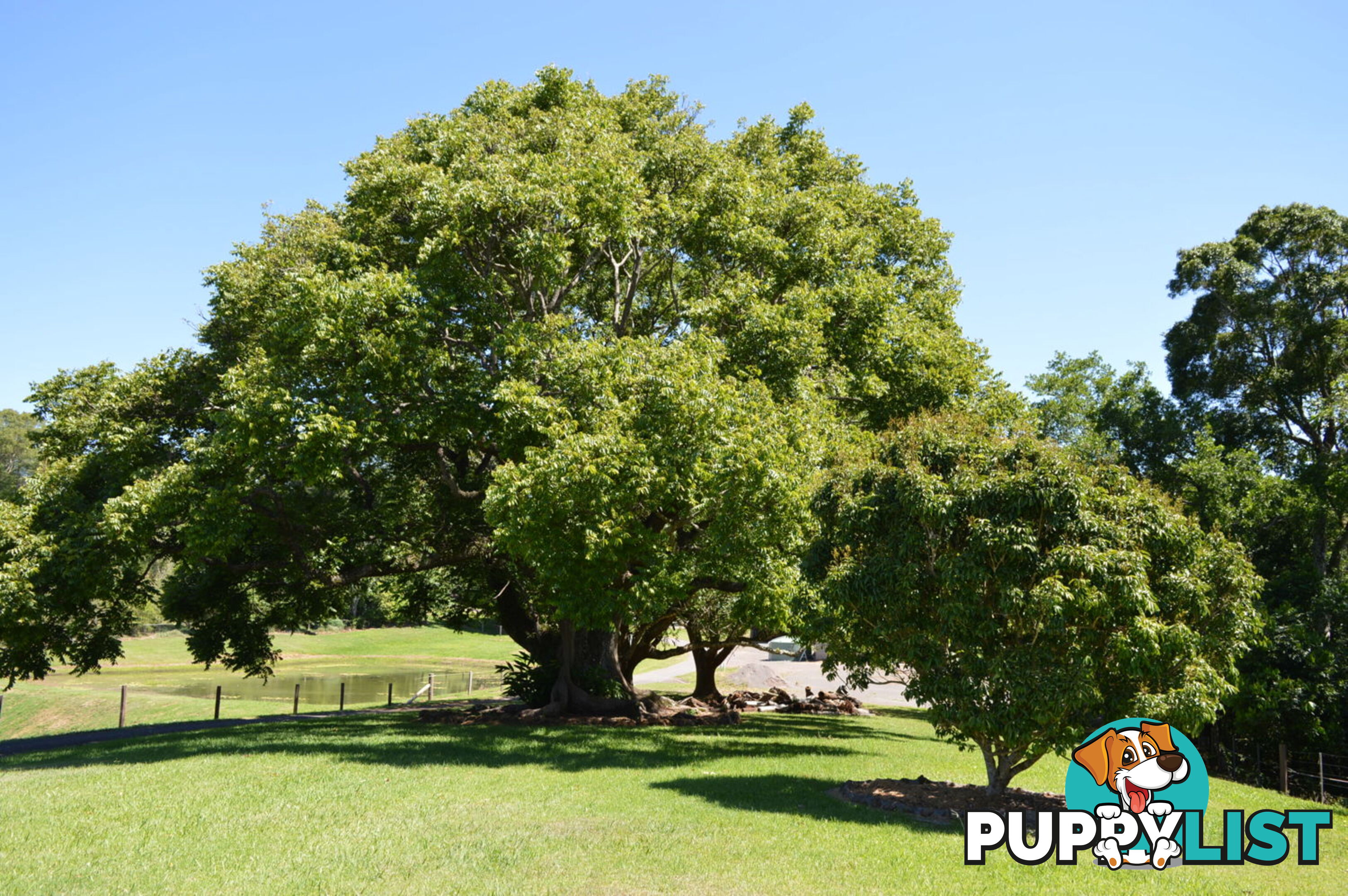 115 Burgum road MALENY QLD 4552