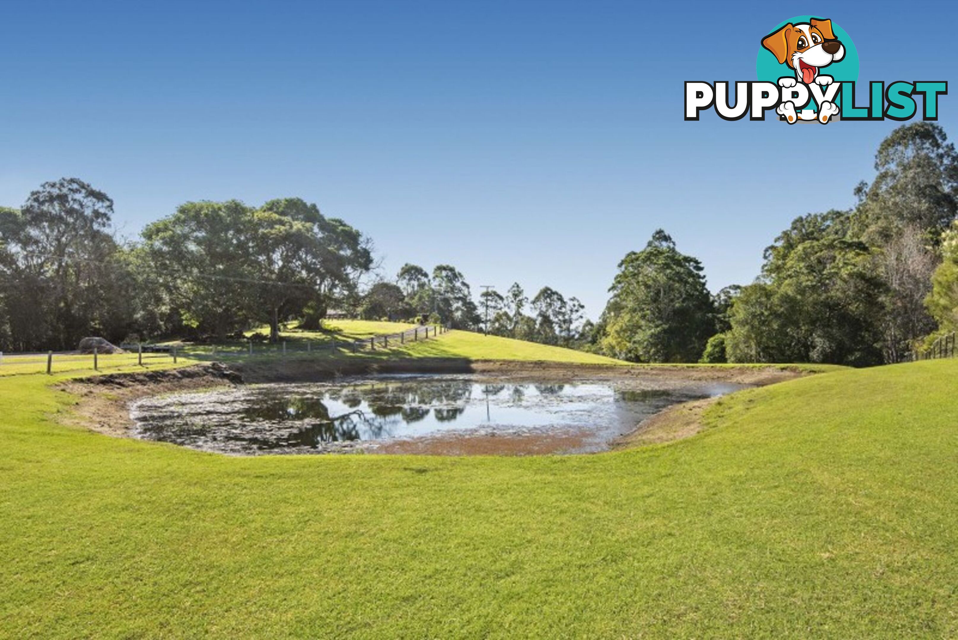 115 Burgum road MALENY QLD 4552