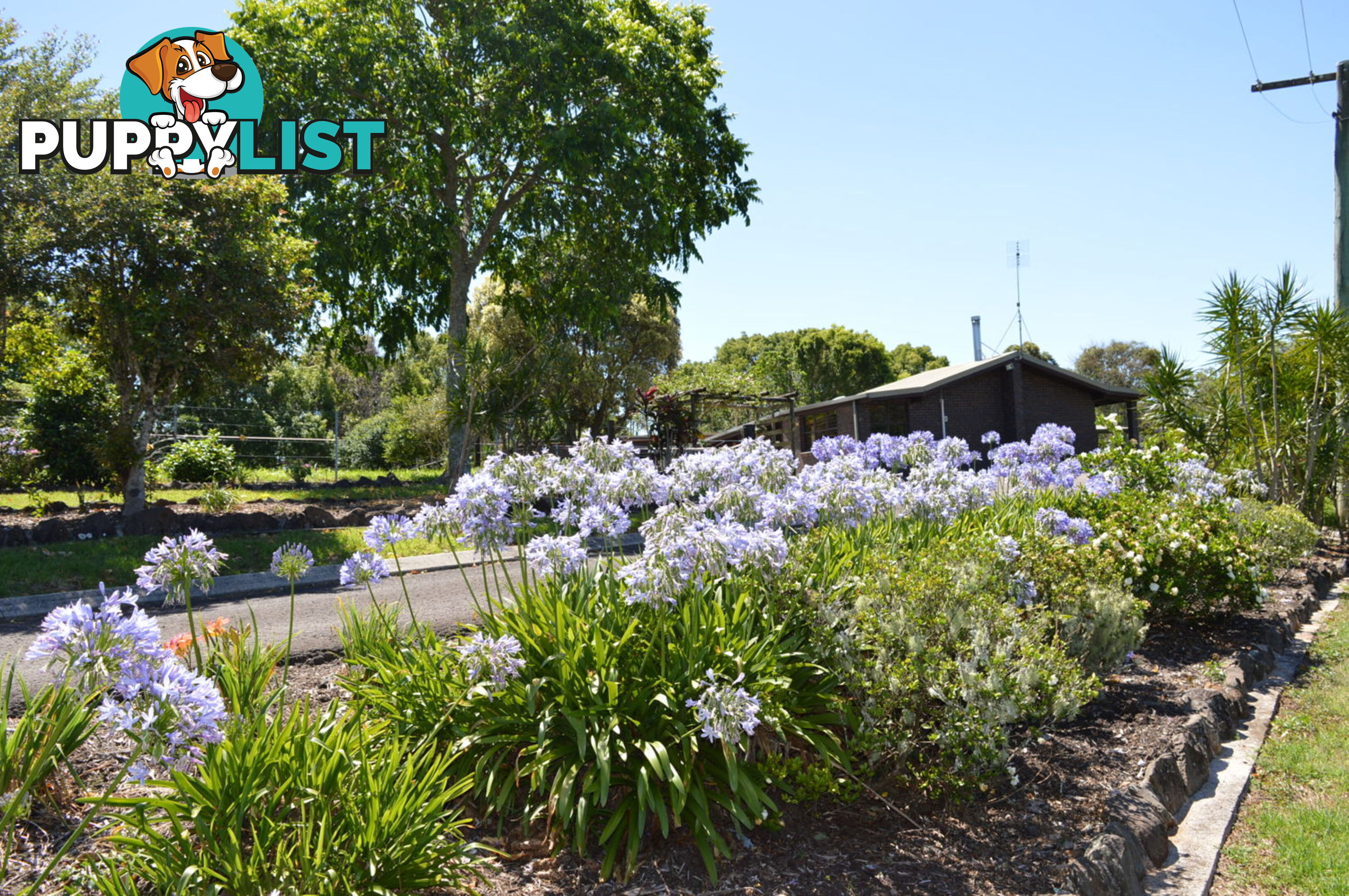 115 Burgum road MALENY QLD 4552