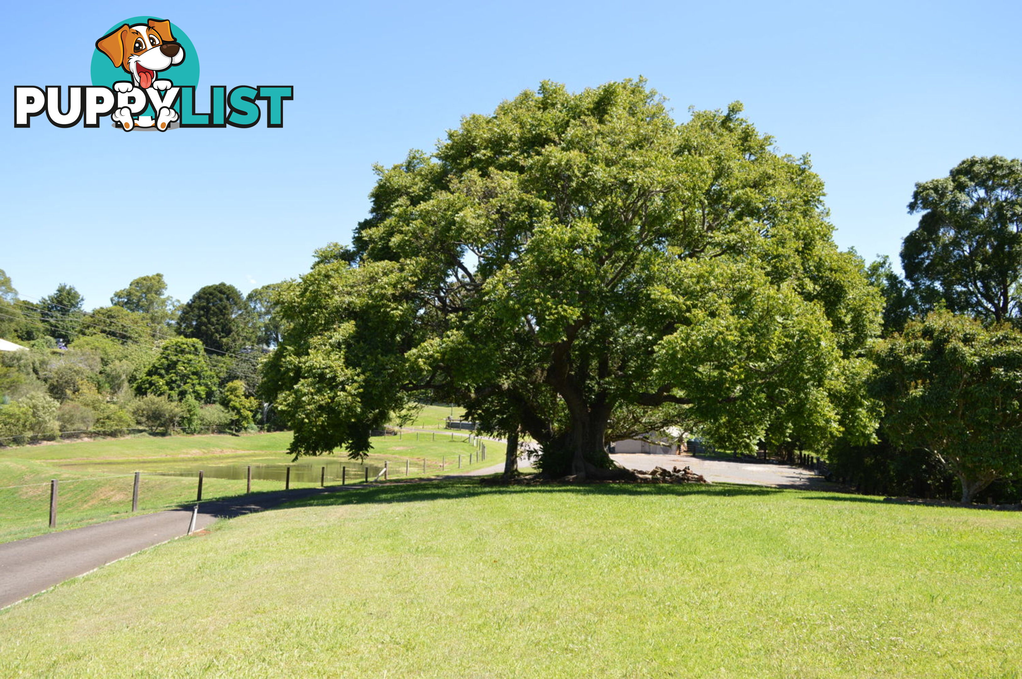 115 Burgum road MALENY QLD 4552