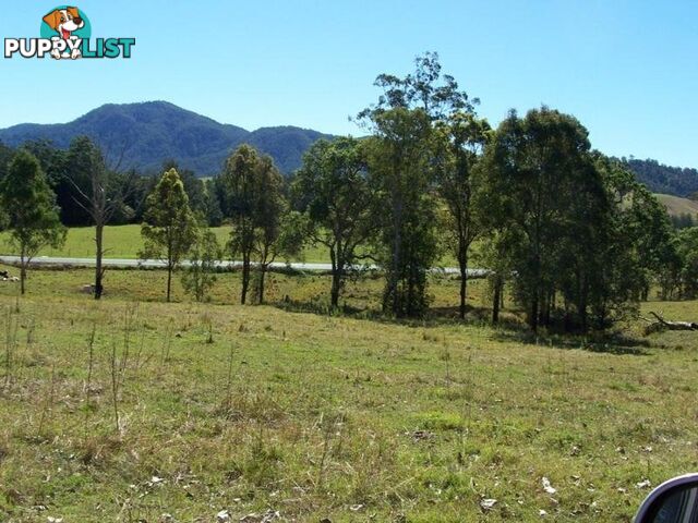 CONONDALE QLD 4552