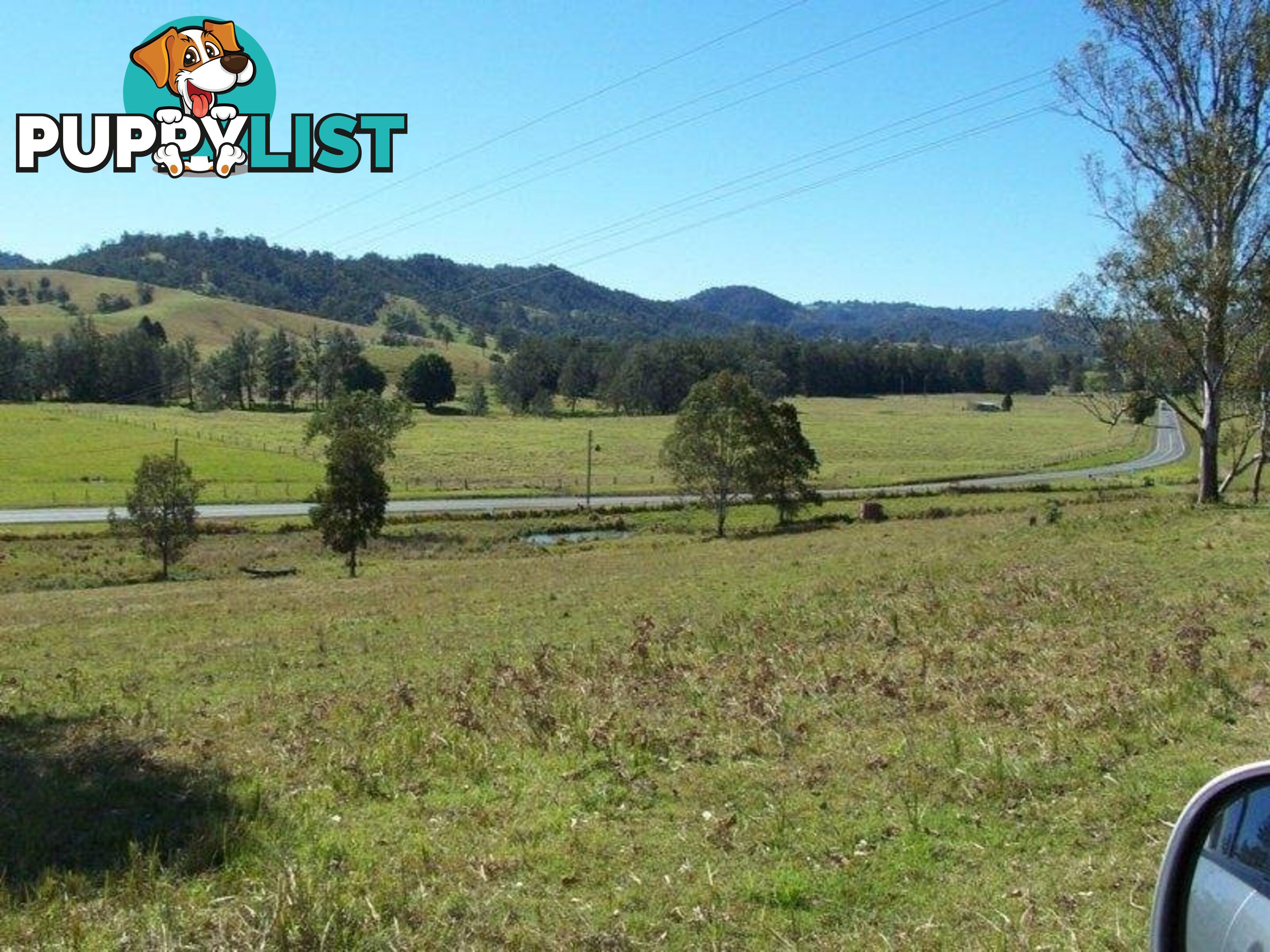 CONONDALE QLD 4552